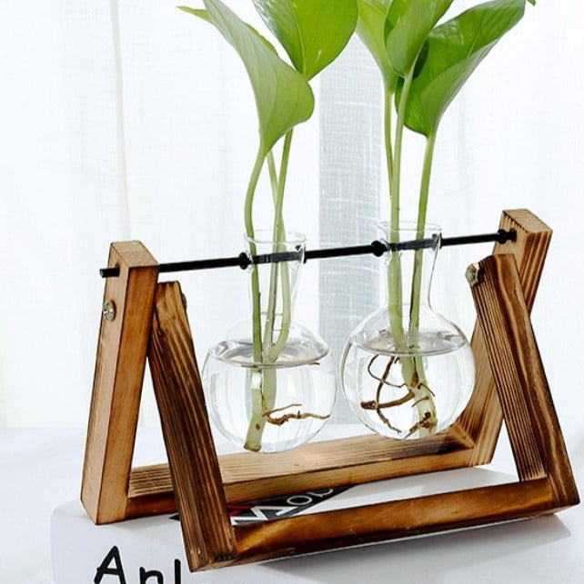 Glass Tabletop Plant - RAZANSY