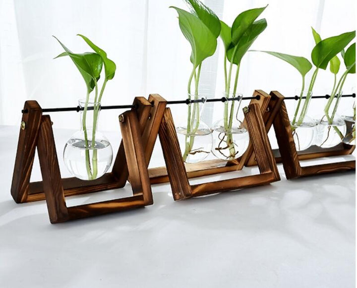 Glass Tabletop Plant - RAZANSY