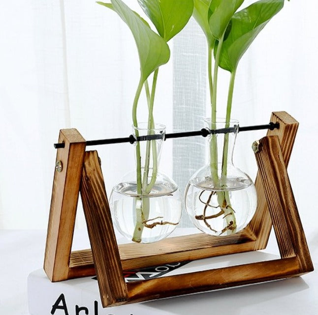 Glass Tabletop Plant - RAZANSY