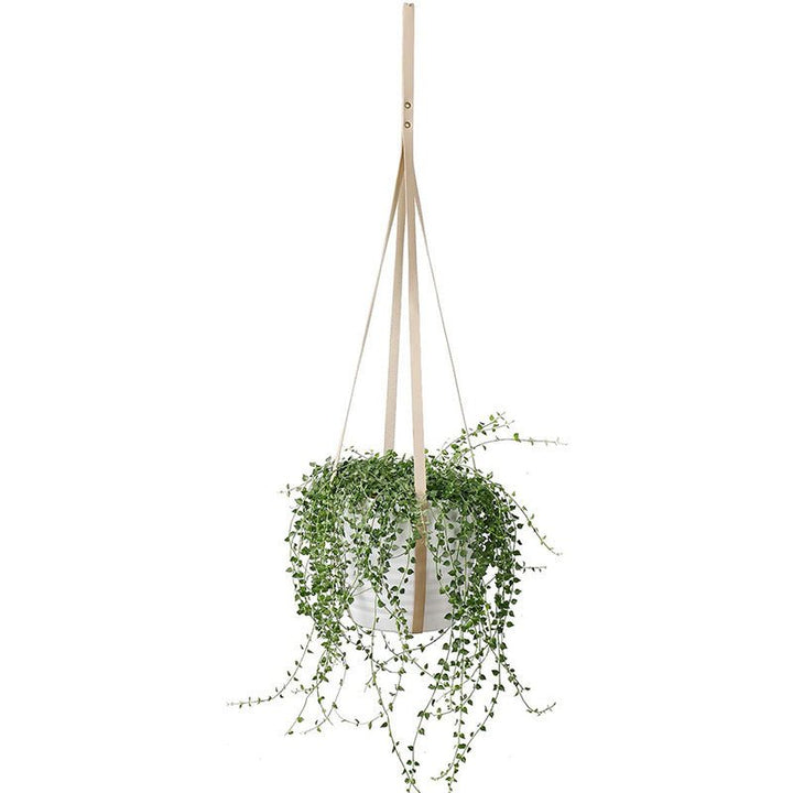 Hanging Plant Stand Hammock