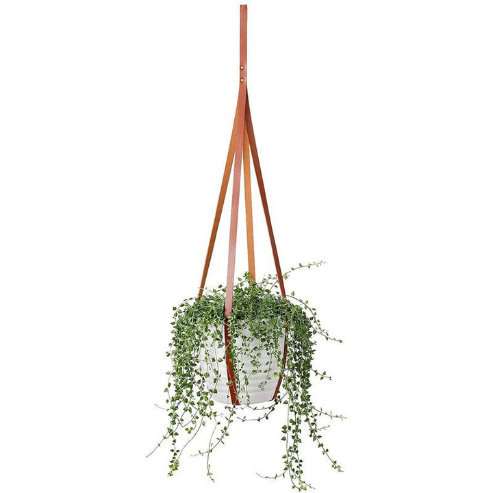 Hanging Plant Stand Hammock