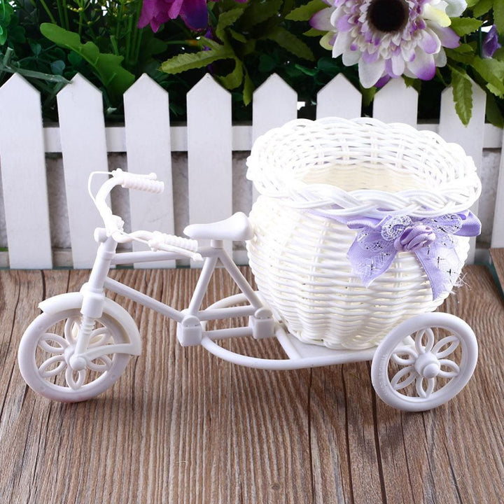 Plant Home Decoration - RAZANSY